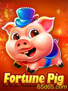 FortunePig: Um Mergulho no Universo de 65D.com